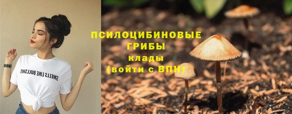 гашик Зеленокумск