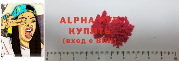 гашик Зеленокумск